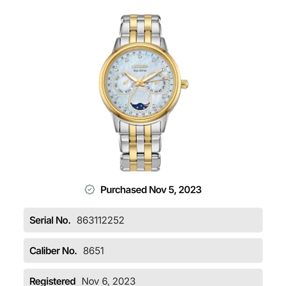 Citizen Eco-Drive Two-Tone Watch - Picture 9 of 12
